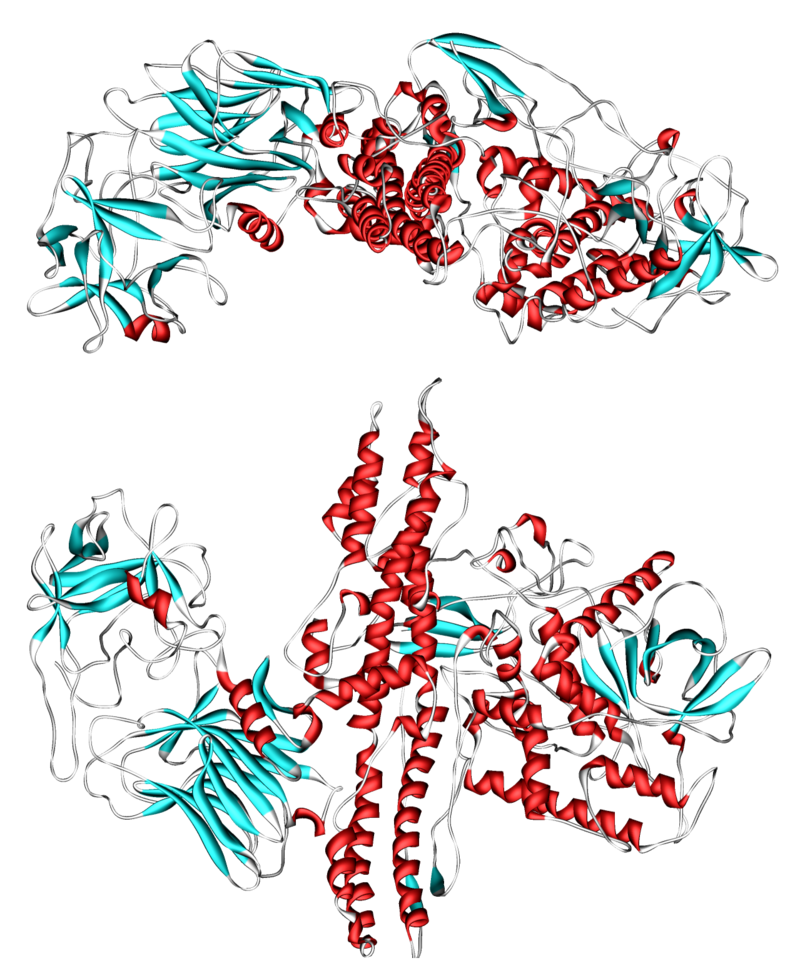 New strategy to fight botulinum toxin - expert available